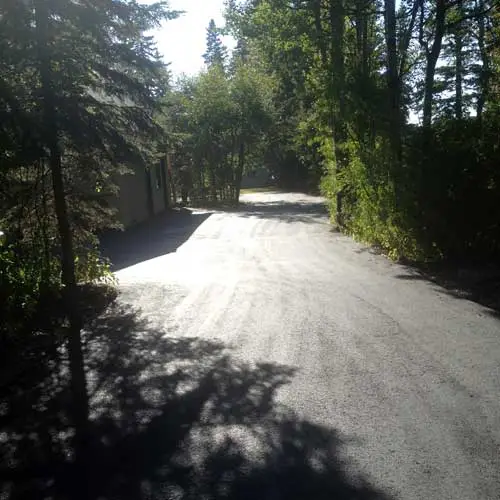 Newly paved asphalt driveway and parking area with tree-lined edges